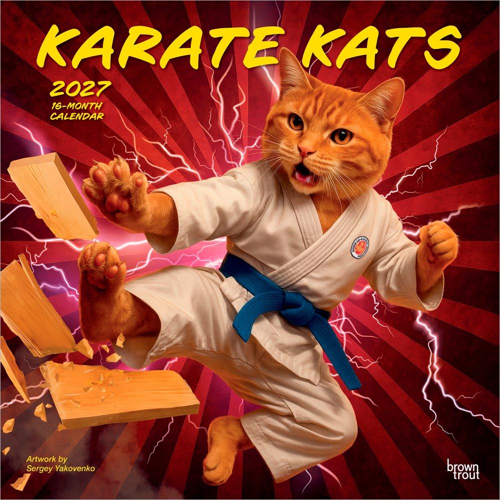 Karate Kats Animal Crankers cover featuring a humorous high-kicking cat character